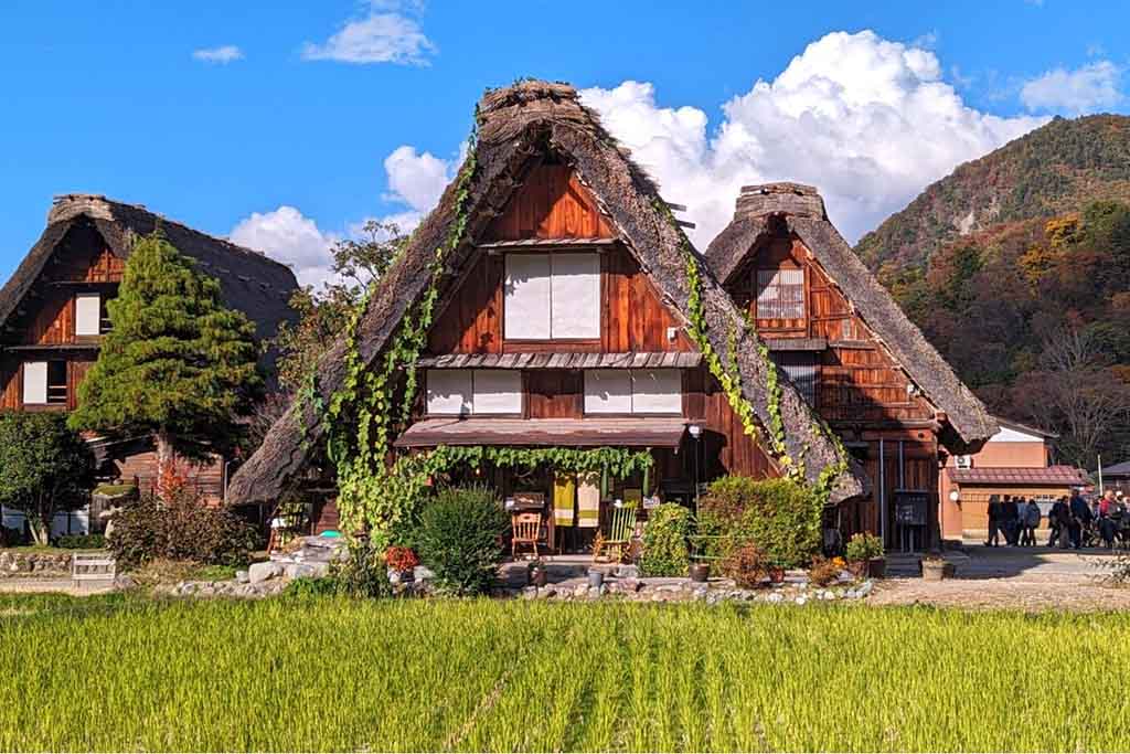 5-Day Japan World Culture Heritage Sites Tour