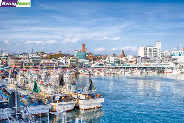 江陵-注文津港-Jumunjin-Port (1).jpg