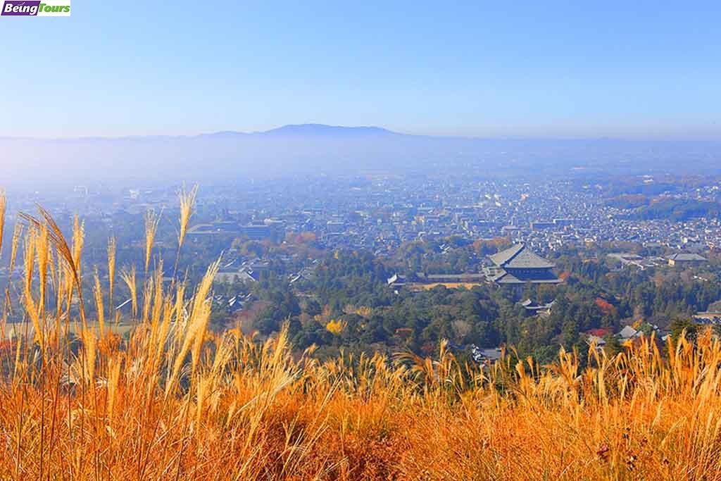 奈良-Nara-MT.Wakakusa-09.jpg