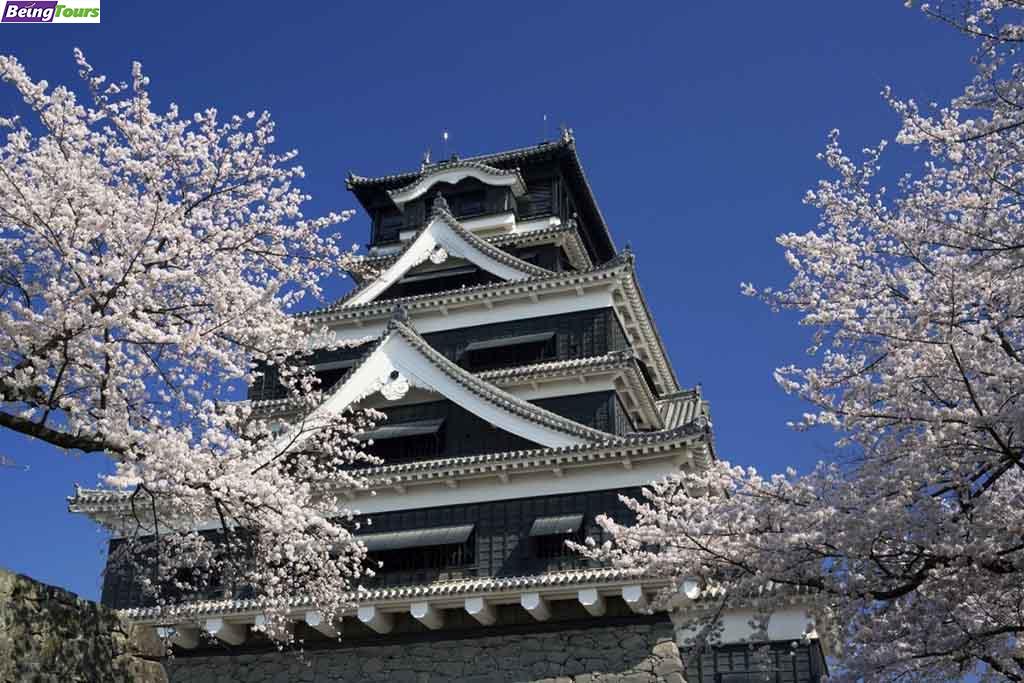 Kumamoto-Castle-Cherry-Blossom-Spring-Kyushu.jpg