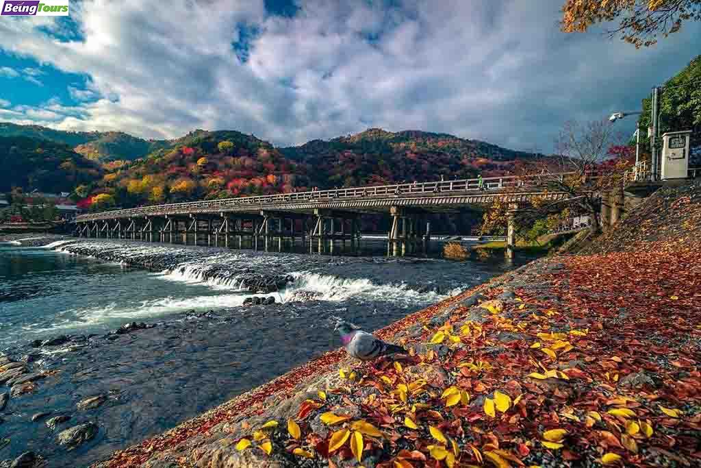 京都-岚山渡月桥-Togetsukyo-Bridge-06.jpg