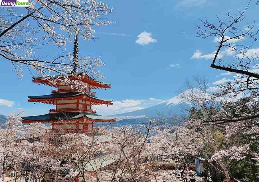 富士山-浅间公园-Arakurayama-Sengen-Park-05.jpg