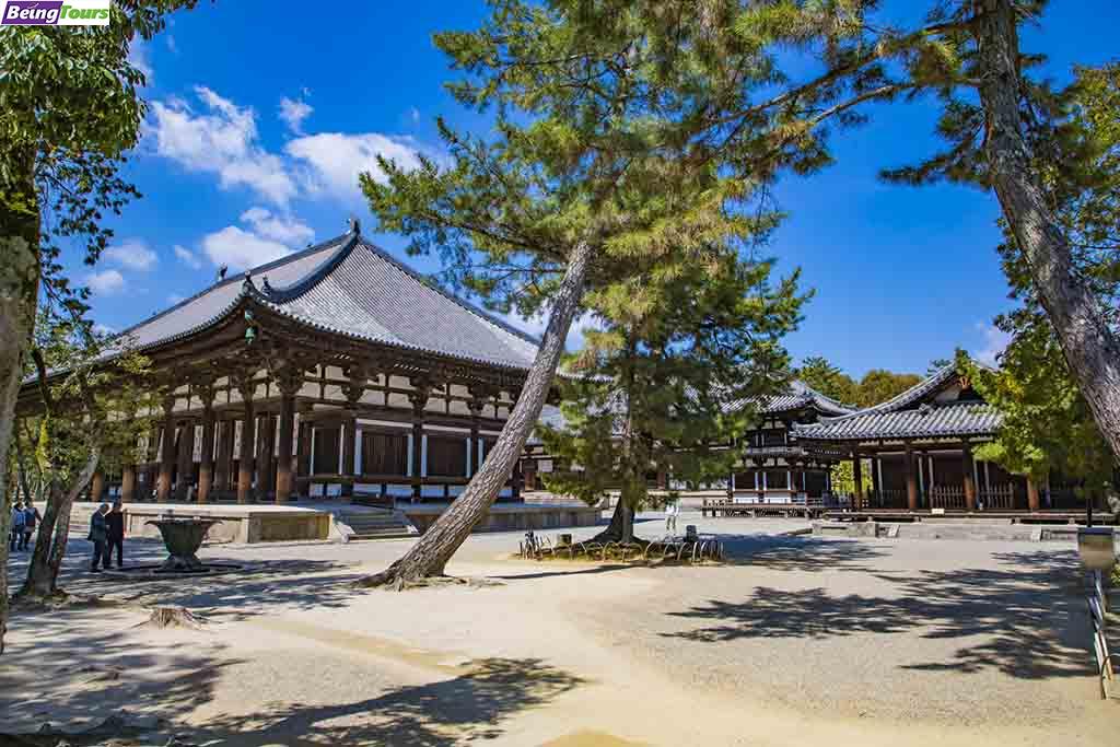 奈良-唐提招寺-Toshodaiji-Temple-05.jpg