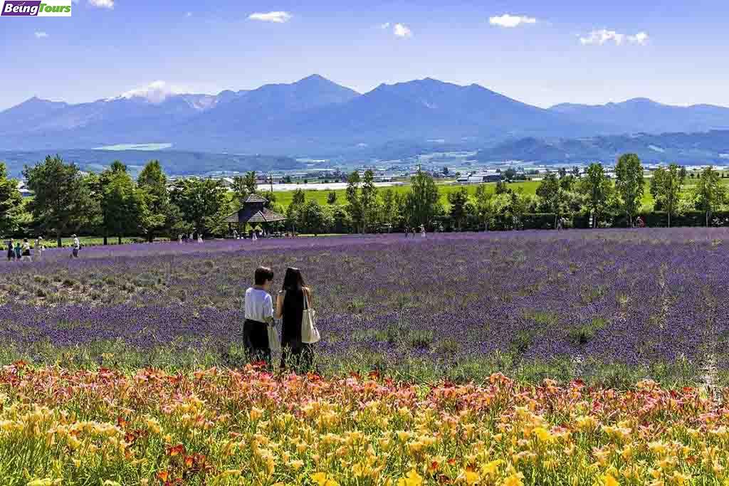 富良野-富田农场-Furano-Tomita-Farm-01.jpg