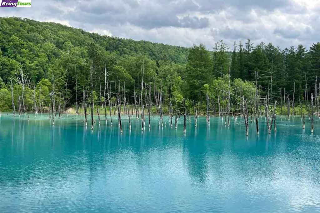 Blue-Pond-Biei-Hokkaido.jpg