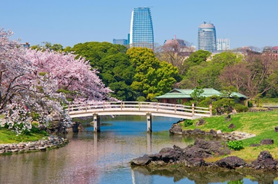 东京-Tokyo-Hamarikyu-garden-01.jpg