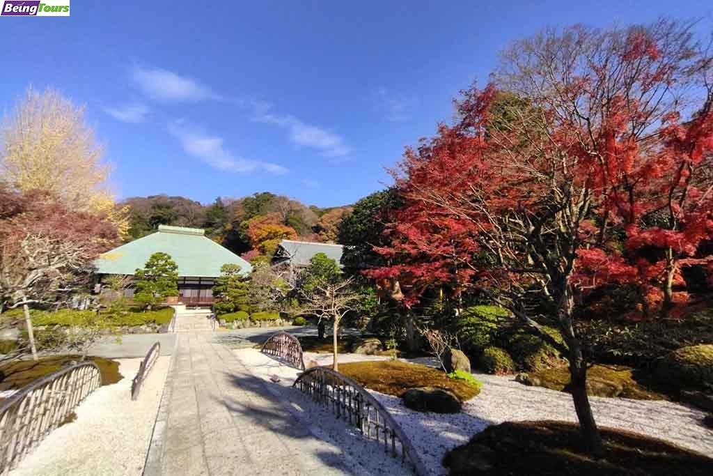 Jomyoji-Temple-Autumn-Kamakura-Kanagawa.jpg