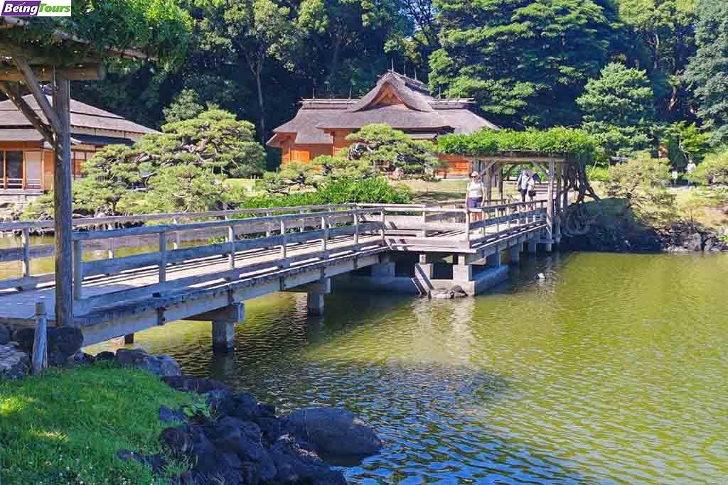 Hamarikyu-Onshi-Teien-Garden-Summer-Tokyo-20230724.jpg