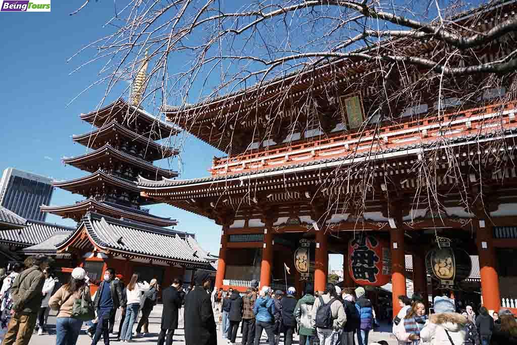 Sensoji-Temple-Tokyo-20250222.jpg