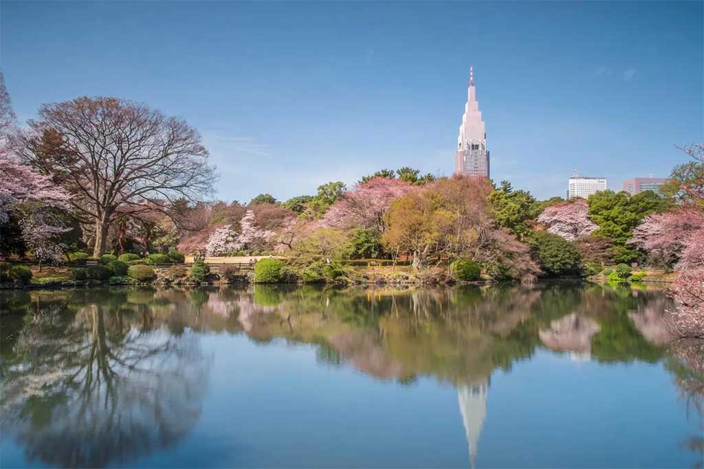 东京-新宿御苑-Shinjuku-Gyoen-02.jpg