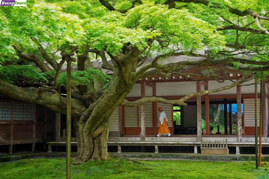 Raizan-Sennyoji-Daihioin-Temple-Spring-Itoshima-Fukuoka-Kyushu.jpg