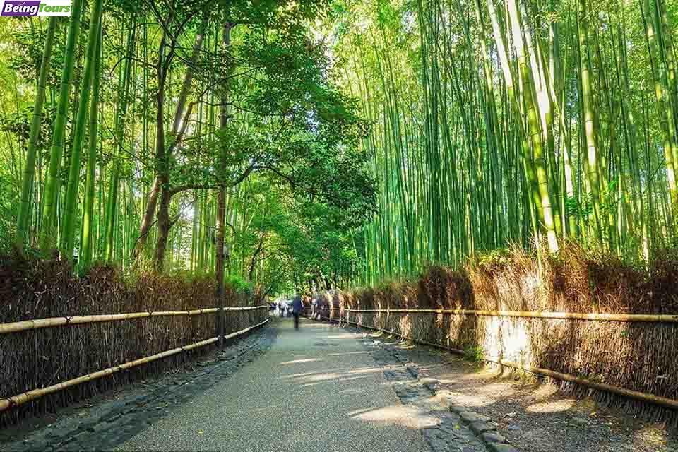 京都-岚山竹林-Arashiyama-Bamboo-Forest-05.jpg