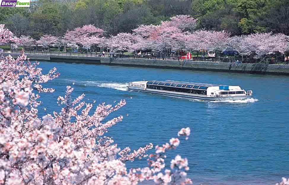大阪-都市环游-水上巴士-Aqua-Line-07.jpg
