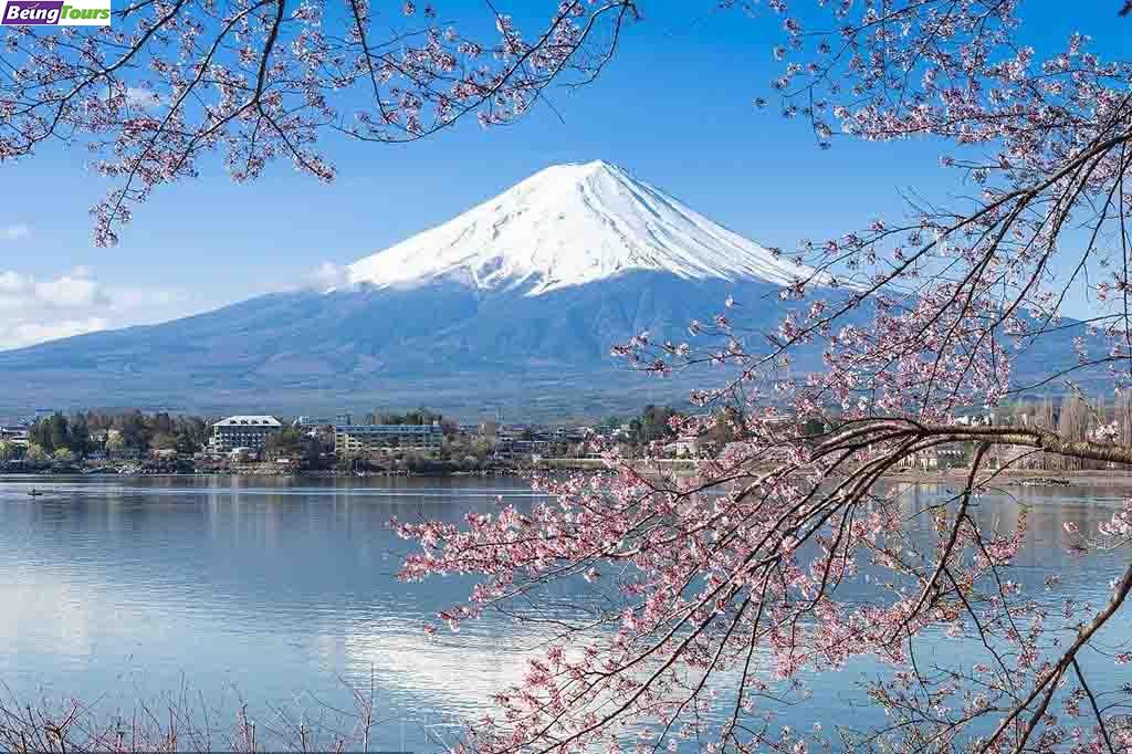 富士山-富士吉田市-河口湖-Kawagushiko-Lake-16.jpg