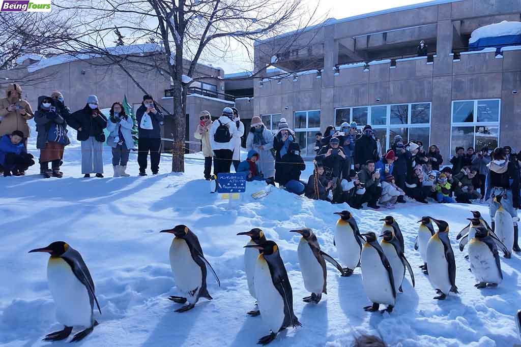 登别-尼克斯海洋公园-Marine-Park-Nixe-Noboribetsu-Winter.jpg