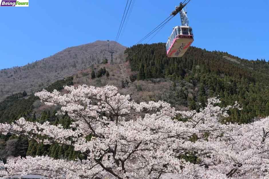 Mount-Tsurumi-Cable-Car-Spring-Sakura-Beppu-Oita-Kyushu.jpg