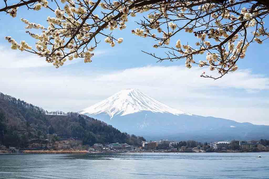 富士山-富士吉田市-河口湖-Kawagushiko-Lake-15.jpg
