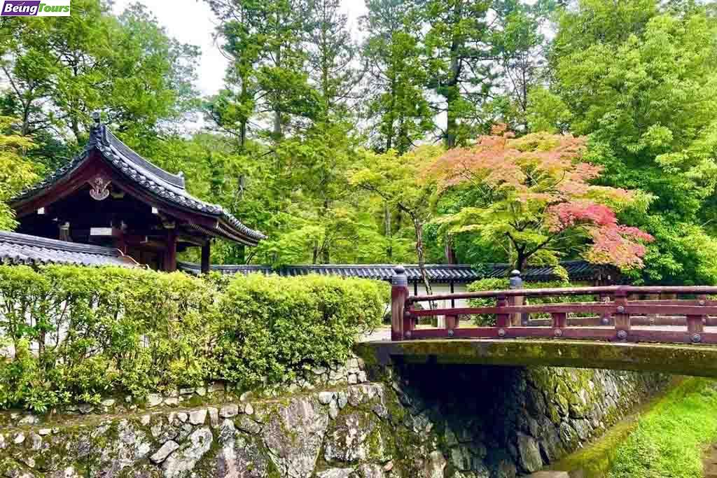 京都-西芳寺-Saihoji-Temple-08.jpg