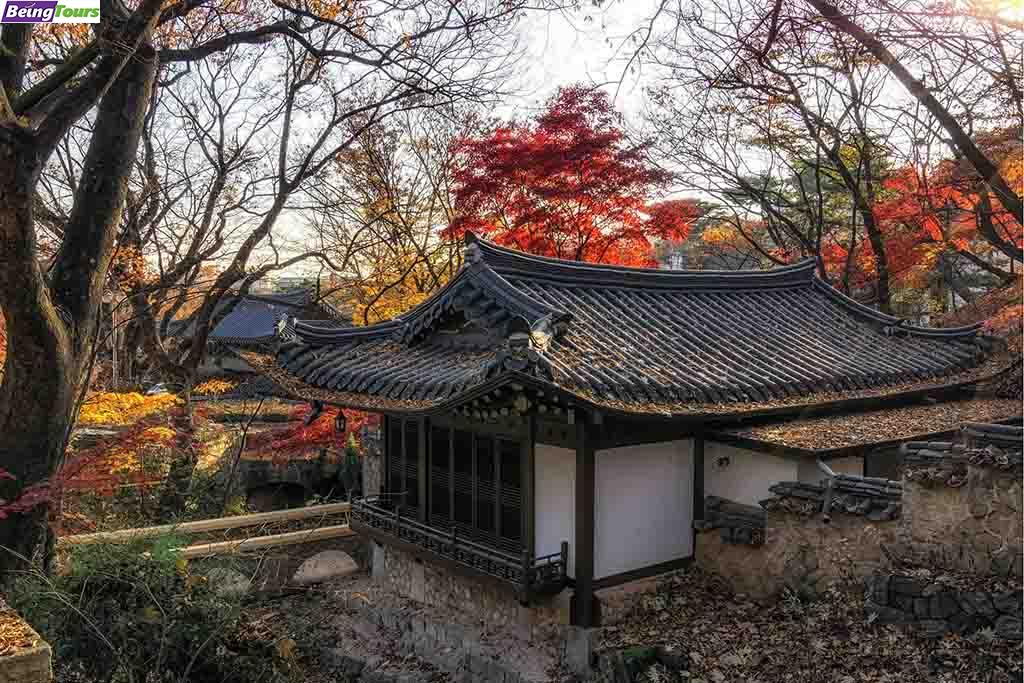 首尔-曹溪寺-Seoul-Jogyesa-Temple.jpg