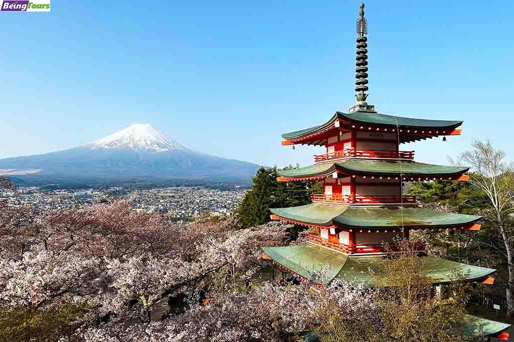 Arakurayama-Sengen-Park-Mt.Fuji-Autumn-20230411.jpg