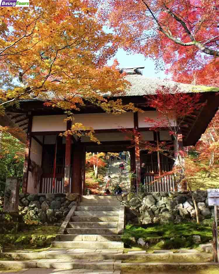 京都-常寂光寺-Jojakukoji-Temple-01B.jpg