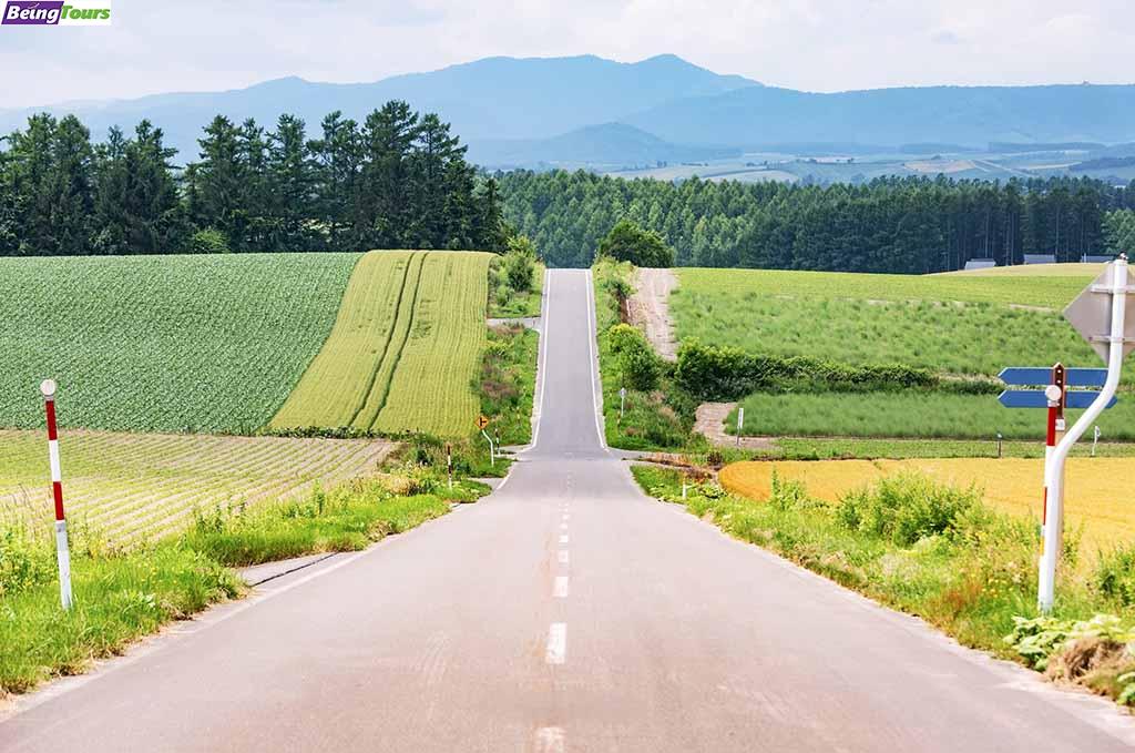 Panoramic-Road-of-Biei-Hokkaido.jpg
