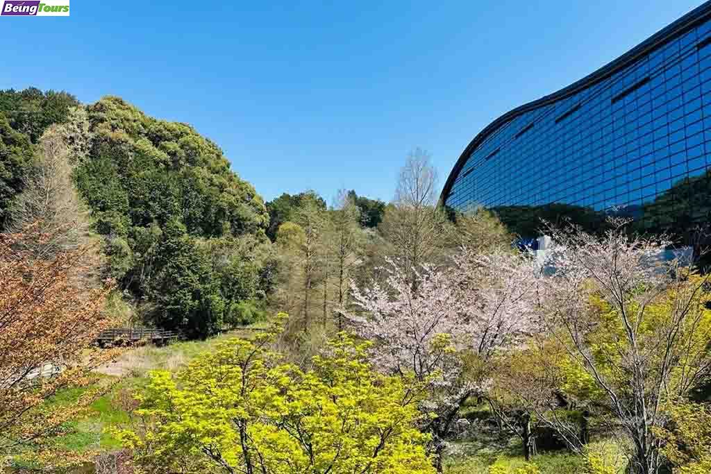 Kyushu-National-Museum-Fukuoka-Spring.jpg