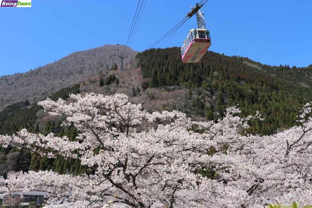 Mountain-Tsurumi-Cable-Car-Spring-Sakura-Beppu-Oita-Kyushu.jpg