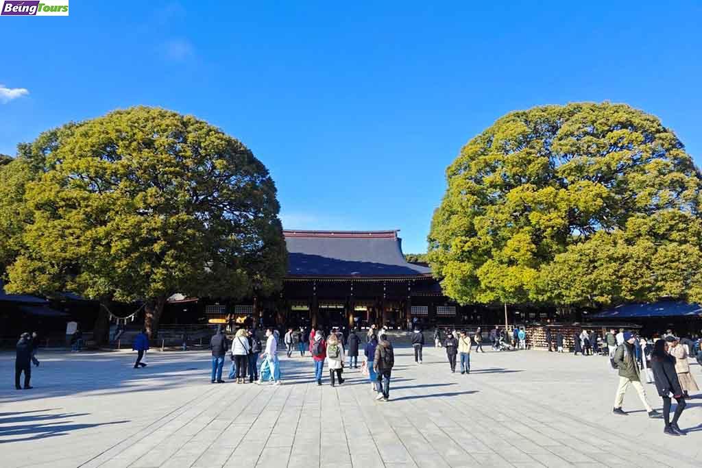 Meiji-Shrine-Morning-Tokyo.jpg
