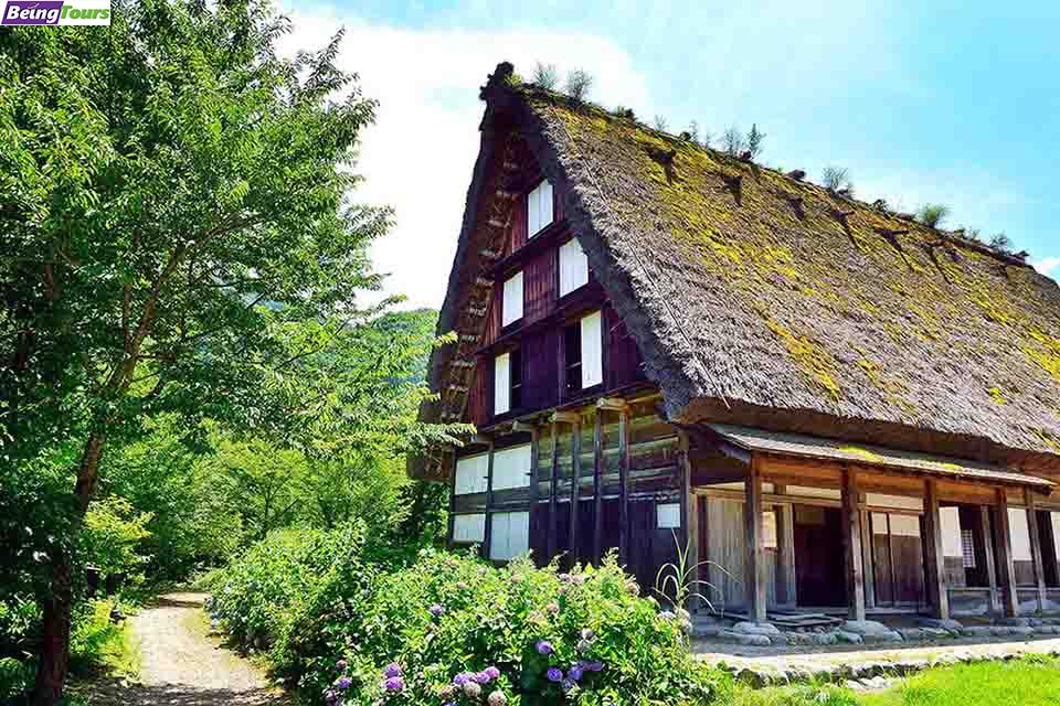 大阪-日本民家集落博物馆-Open-Air-Museum_Japanese-Farm-Houses_Osaka-Japan-1.jpg