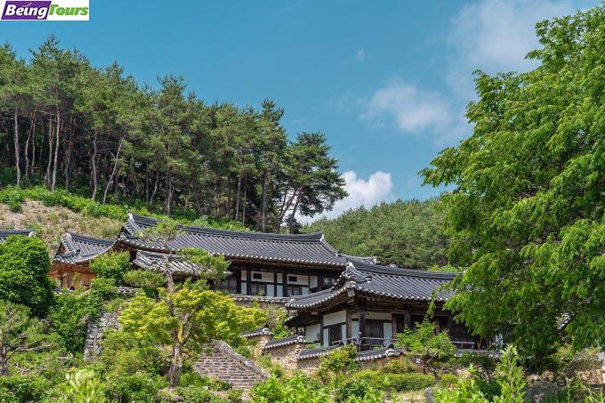 安东-君子村-Andong-Gunjari-Village.jpeg