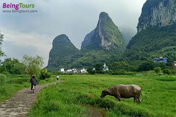 1-Day Li River Cruise and Yangshuo Highlights Tour