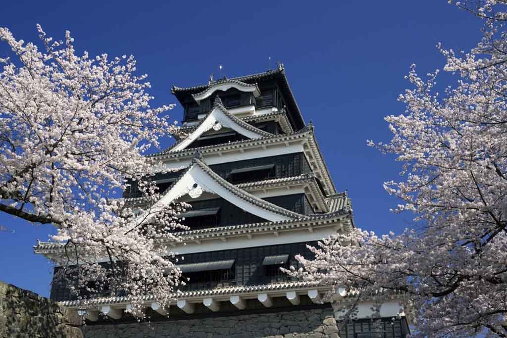 9-Day Kyushu Cherry Blossom Leisure Tour