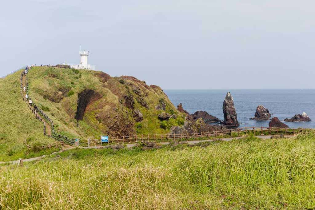 Sopjikogi