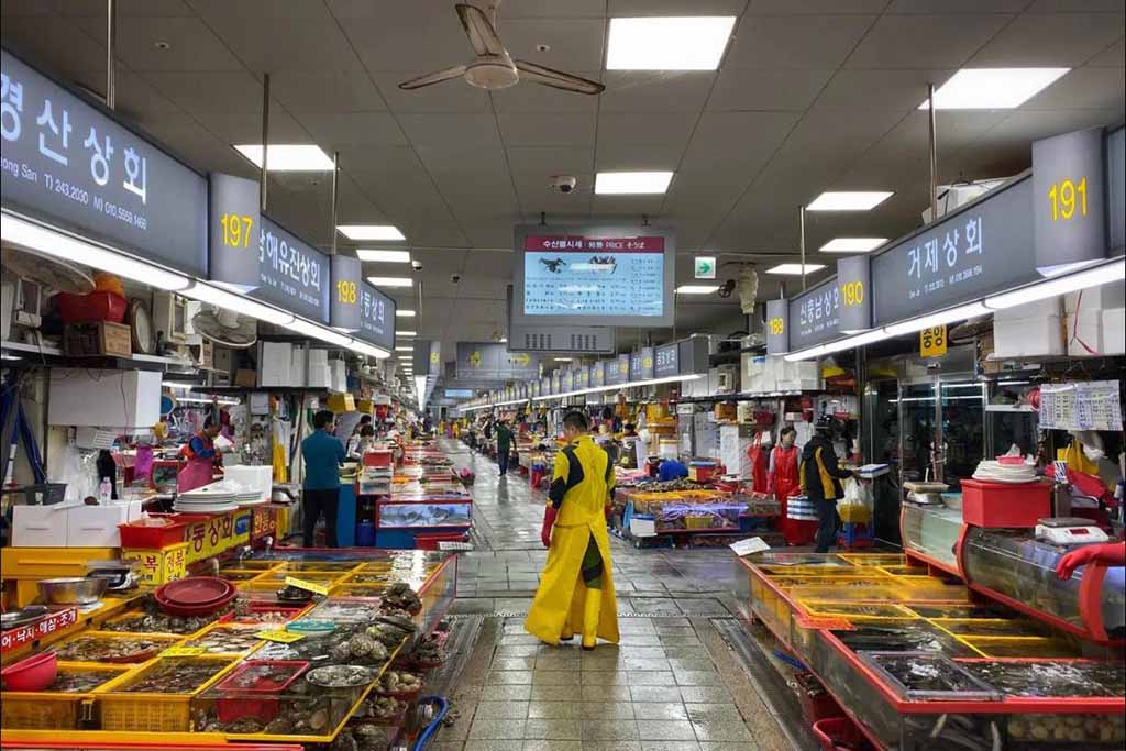 Jagalchi Market